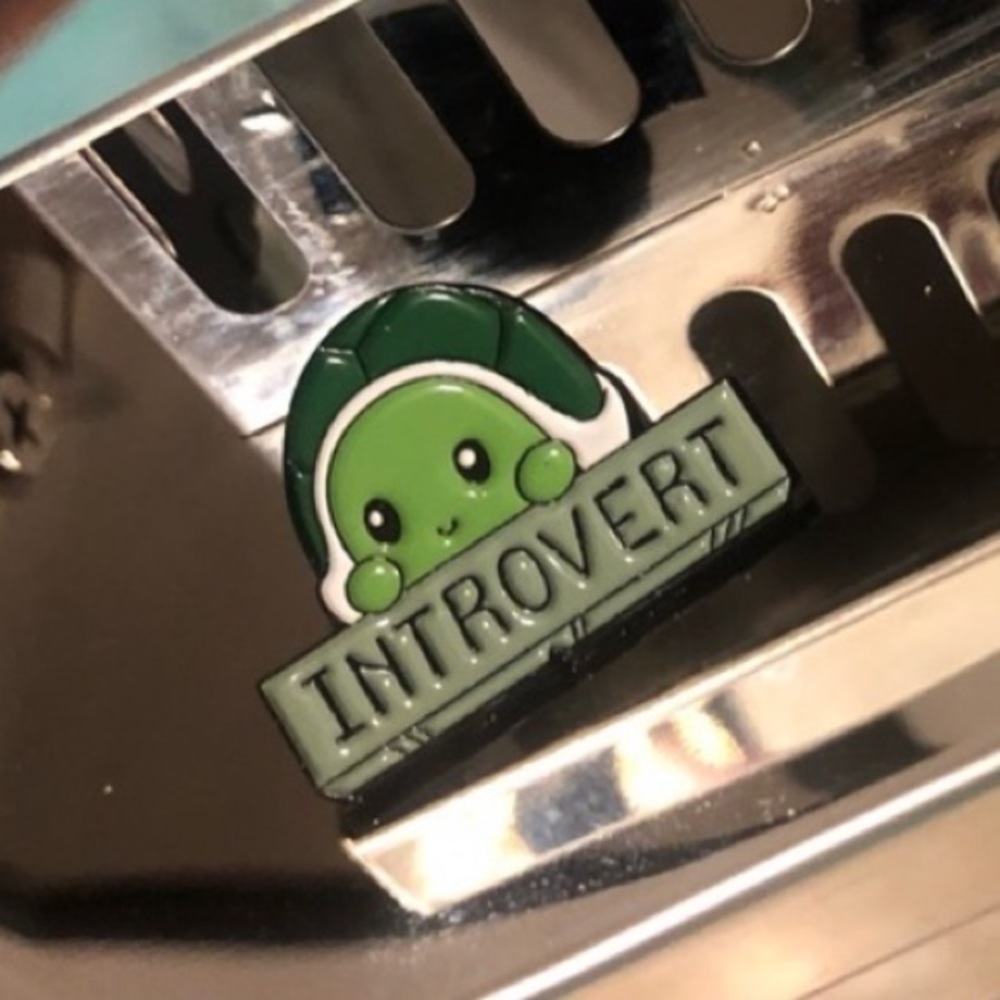 Introvert turtle pin